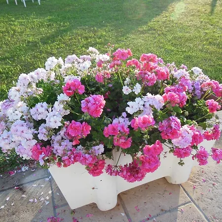 Club Barbara منتجع 3*