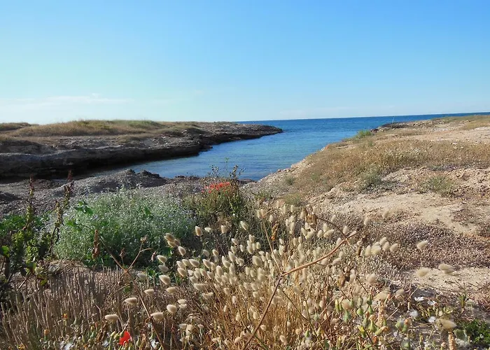 リゾート Club Barbara オストゥーニ