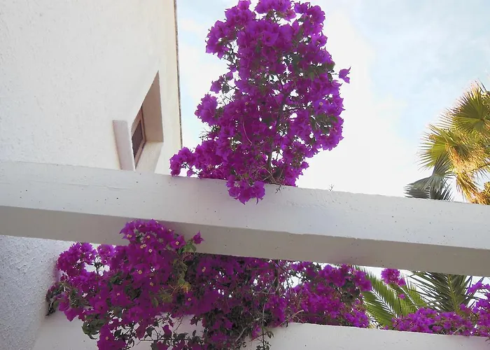 Club Barbara Semesteranläggning (resort) Ostuni