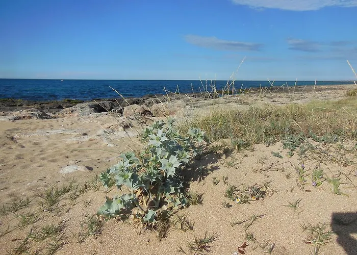 Club Barbara Semesteranläggning (resort) Ostuni